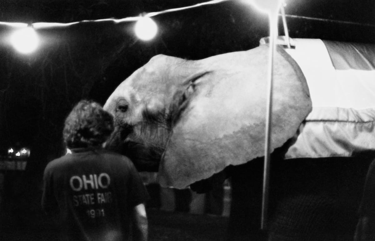 Ming Smith at multiple venues in Columbus, Ohio