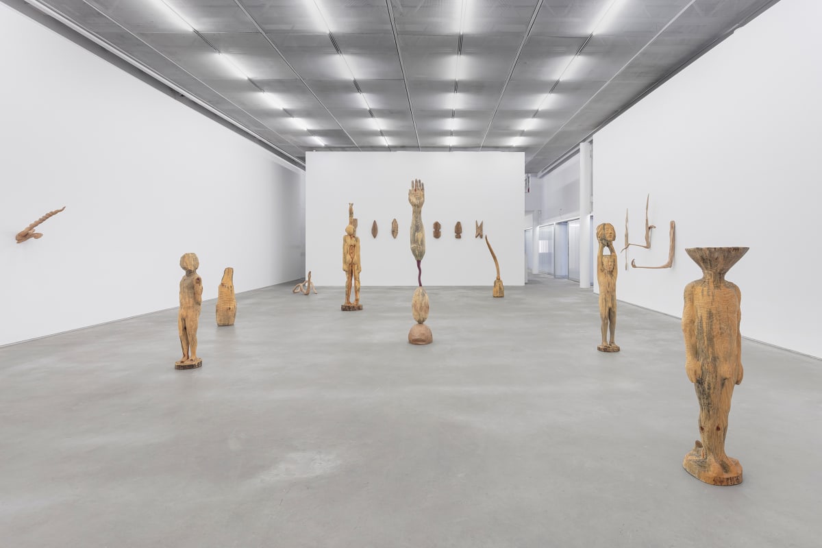 ZÉ CARLOS GARCIA . PEIXE DAS NUVENS ENSAIO CRÍTICO DE DANIELA LABRA