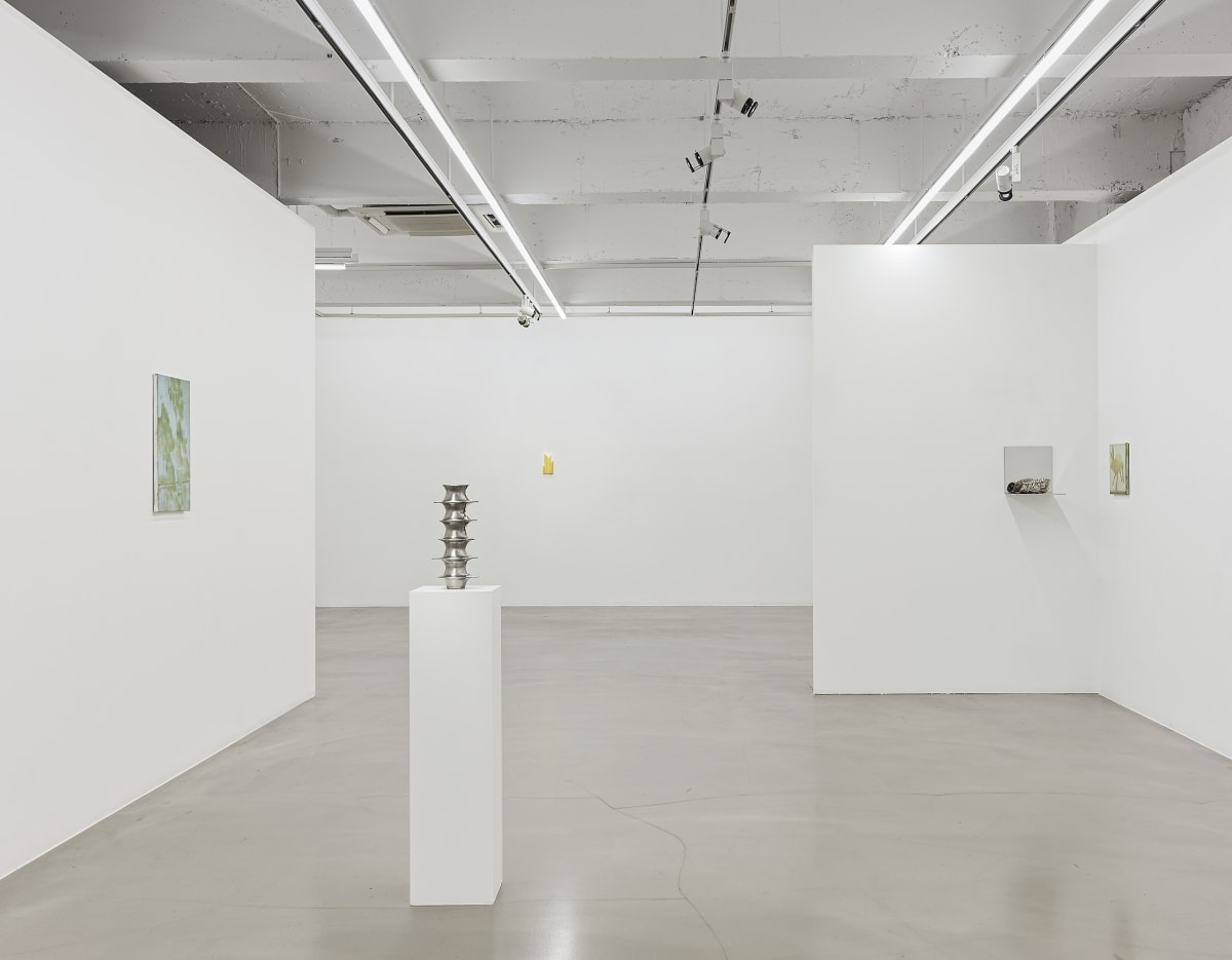 Estuary: Between Tides