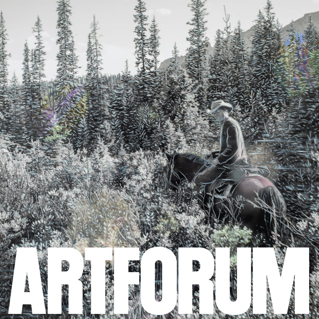 Sarah Anne Johnson's <i>A Mountain and a Forest</i> is named a Must-See
