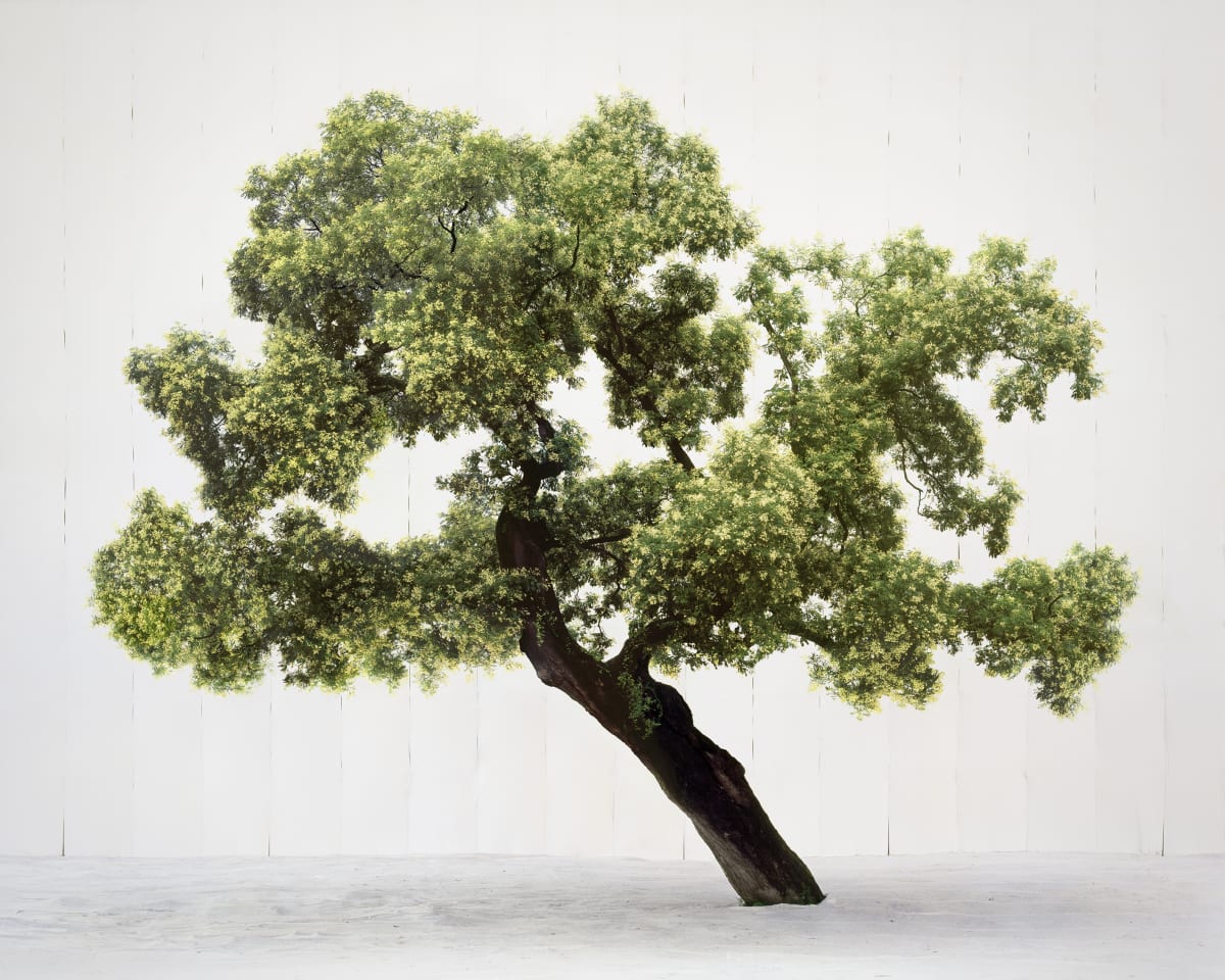 2025 Holiday Gift Guide