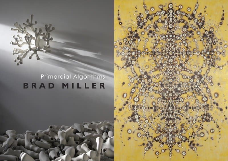 Brad Miller: Primordial Algorithms