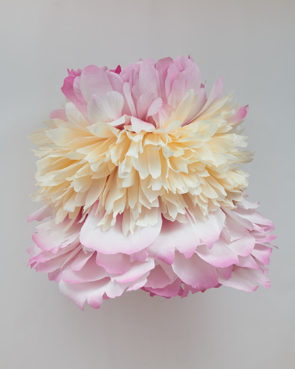 Tiffanie Turner American Grown Sept 9 - Nov 18 2023 | Eleanor Harwood  Gallery