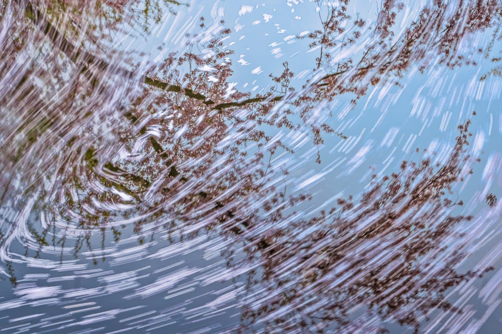 Temporality and the Landscape Photograph, By Libby Atkins