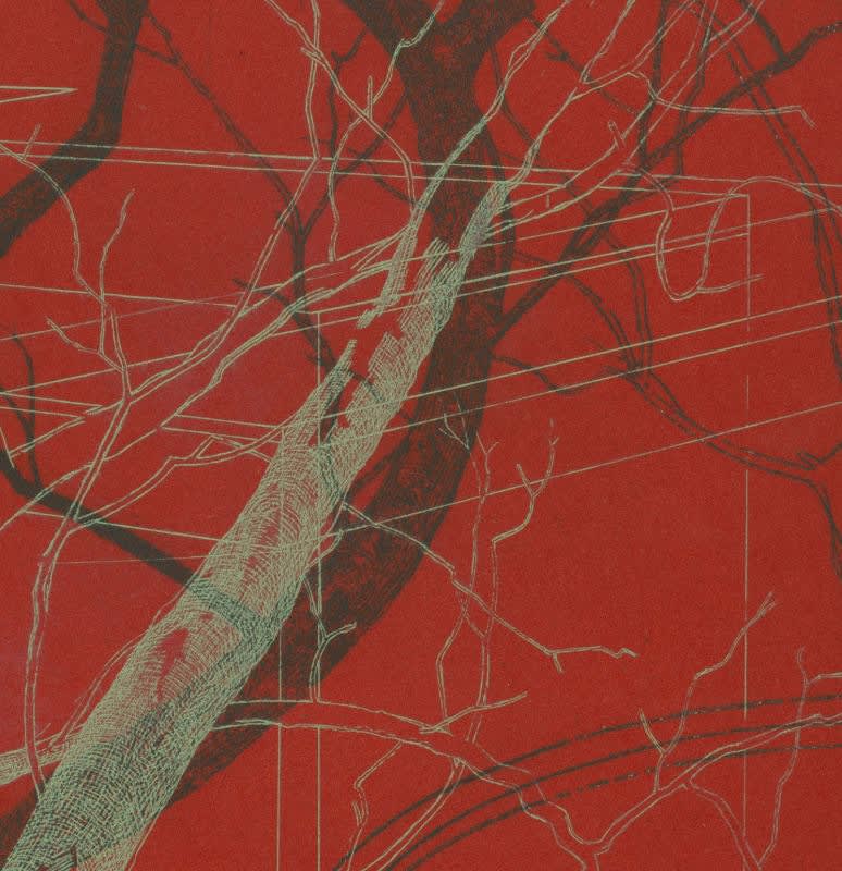 Detail of a print by Andrew Mackenzie