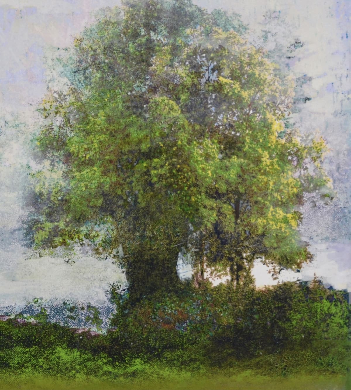 Robin Smith Peck : In The Woodlands