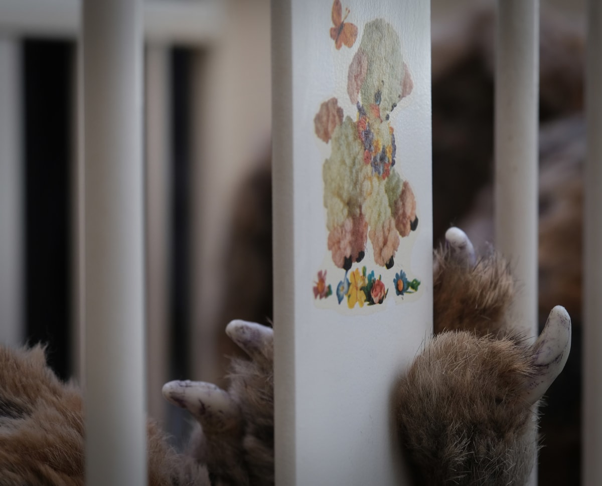 Abigail Norris- Ghosts in the Nursery