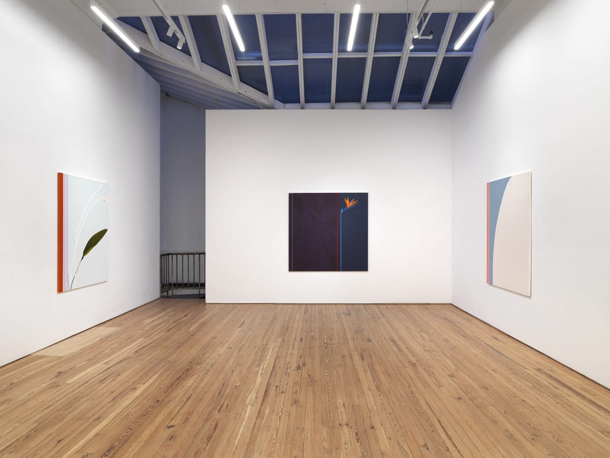 Nan Montgomery "Diametric Abstractions"