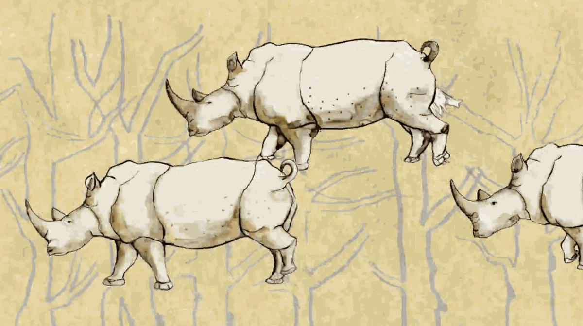 Institutional Exhibition