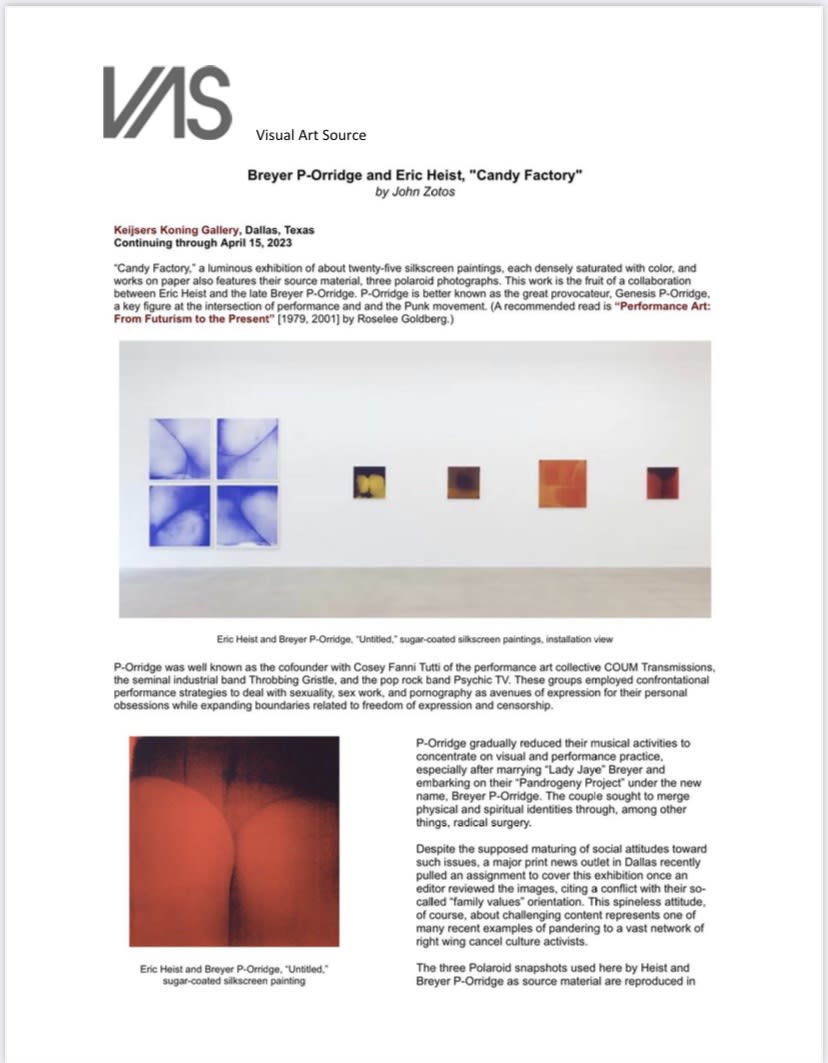 image of review, installation view and text in VAS newsletter