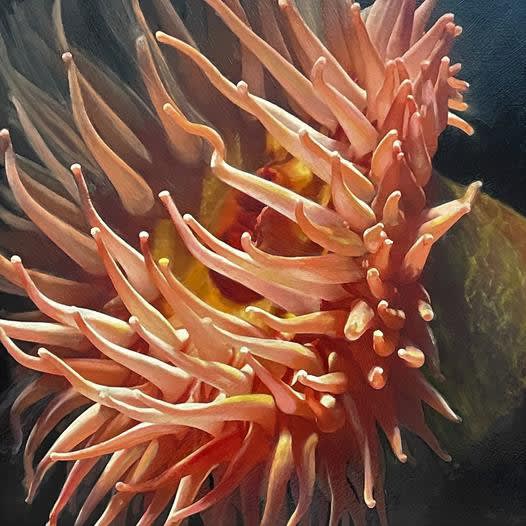 PRETTY ANENOME