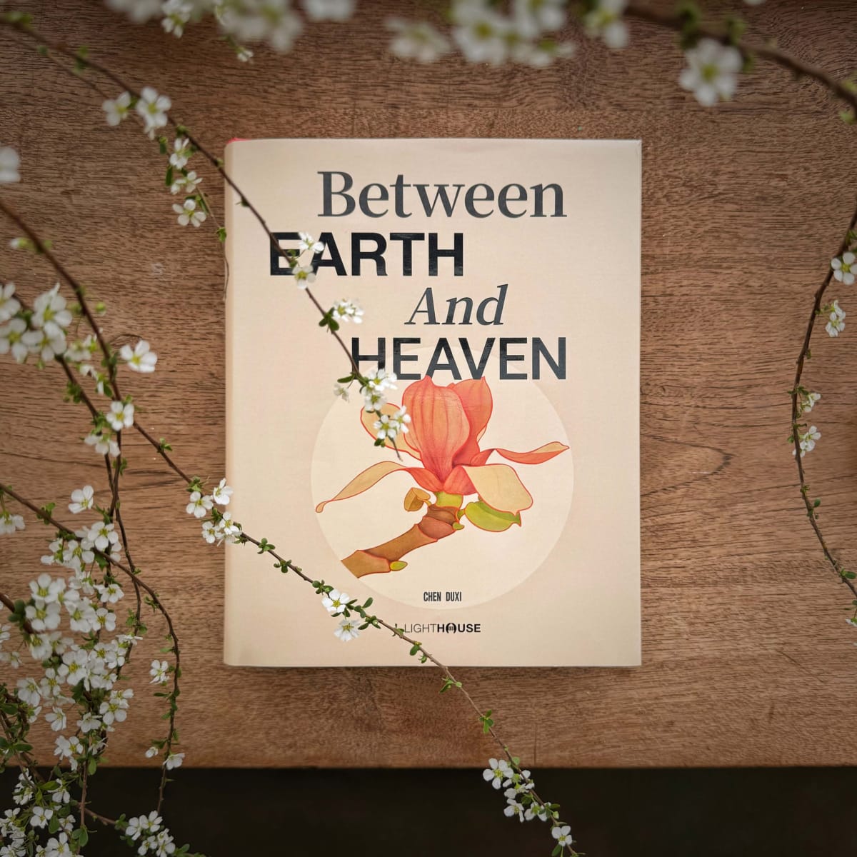Between Earth and Heaven