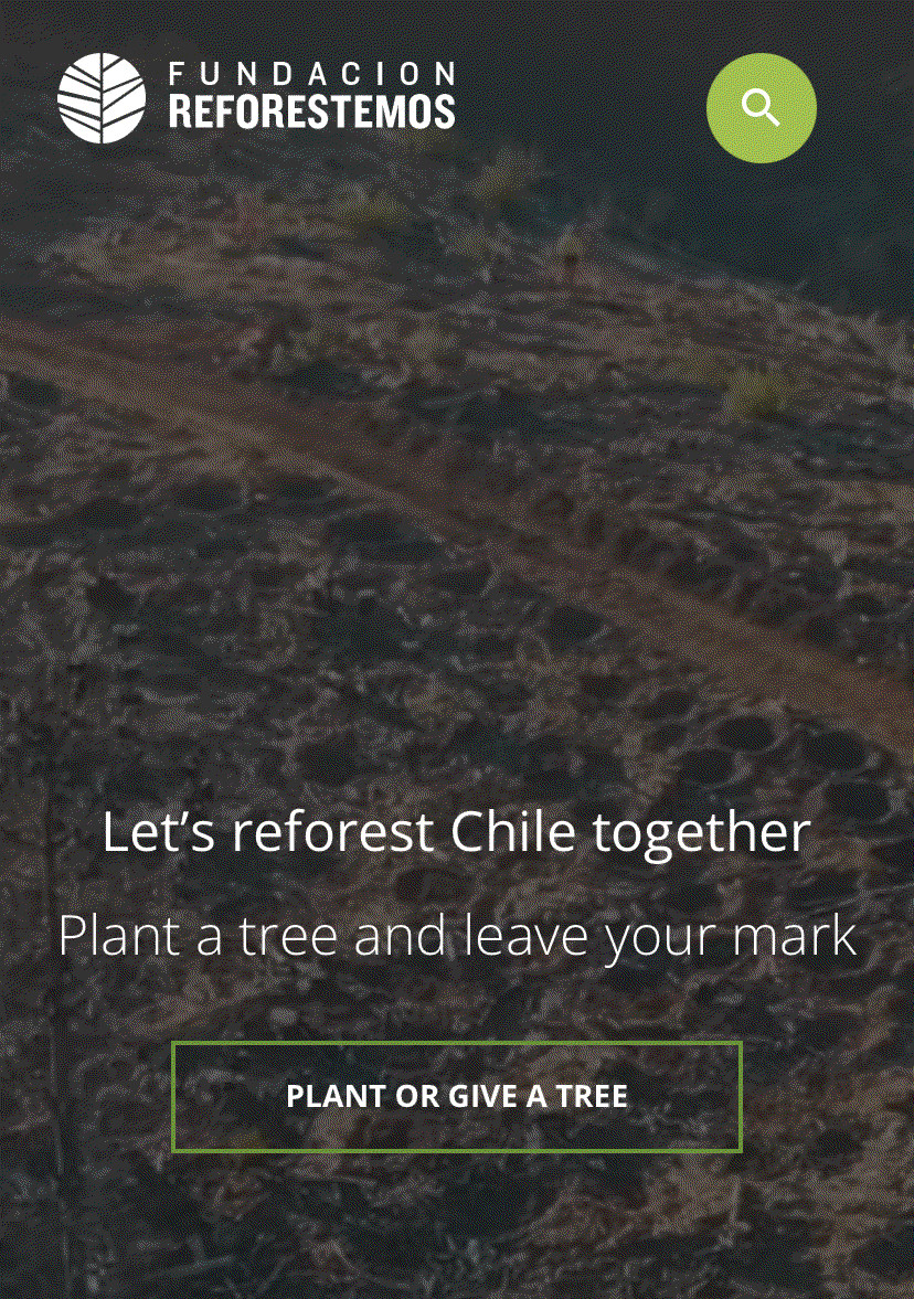 Reforestesmos