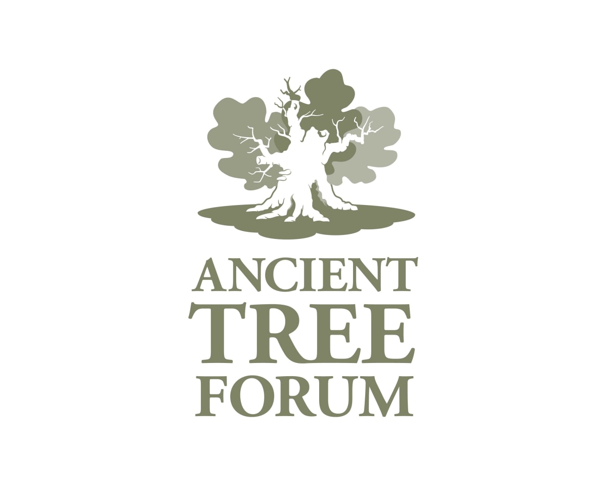 Ancient Tree Forum