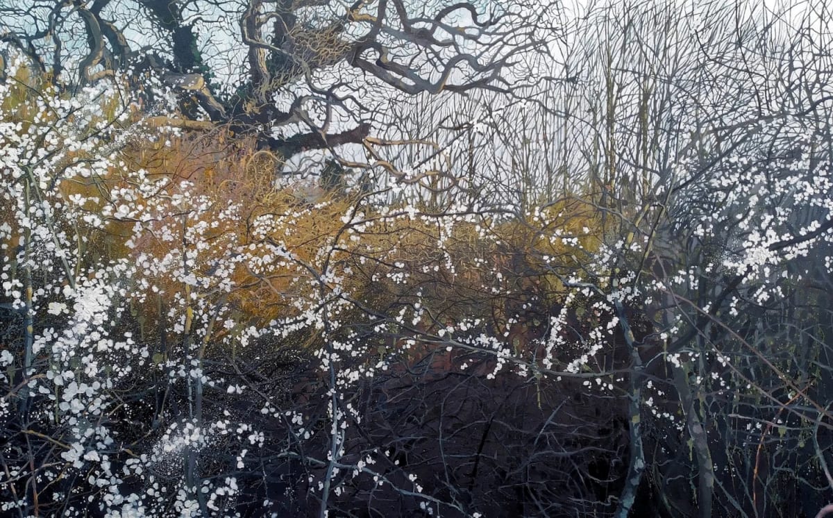 WINTER SHOW Warm your heart as you feast your eyes