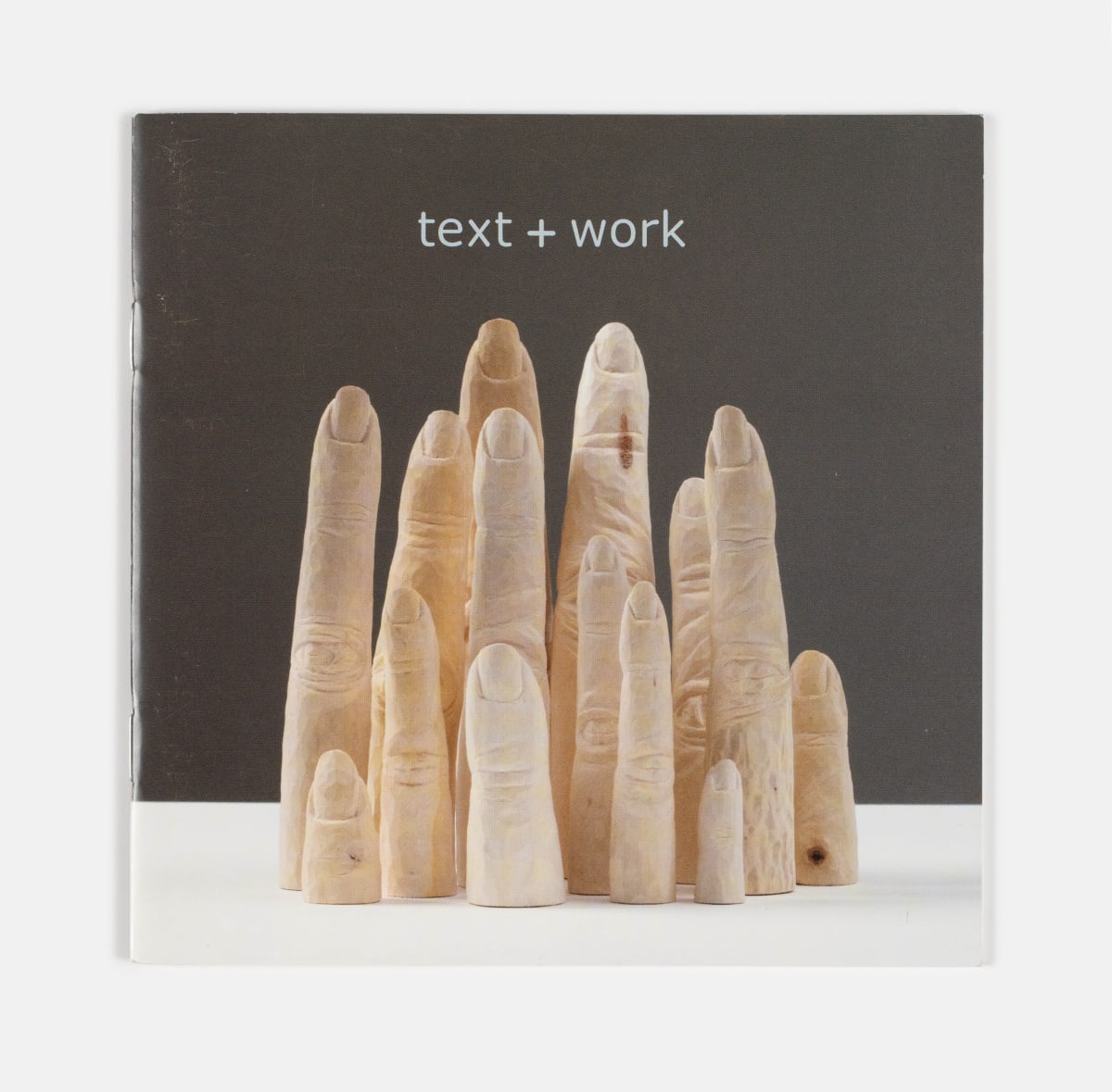 Cover of Jane Wilbraham, Text + Work, 2013