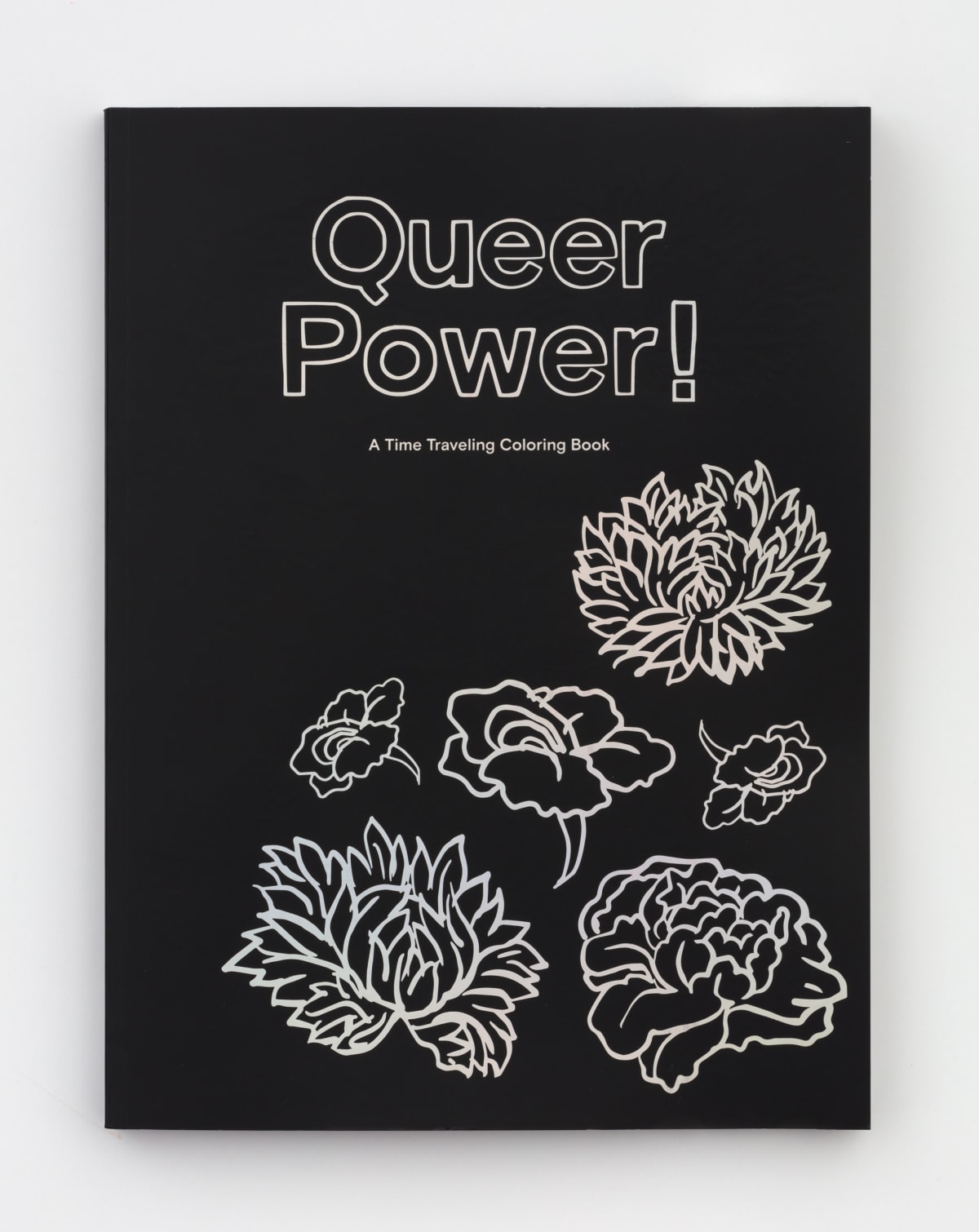 cover of Queer Power! A Time Traveling Coloring Book