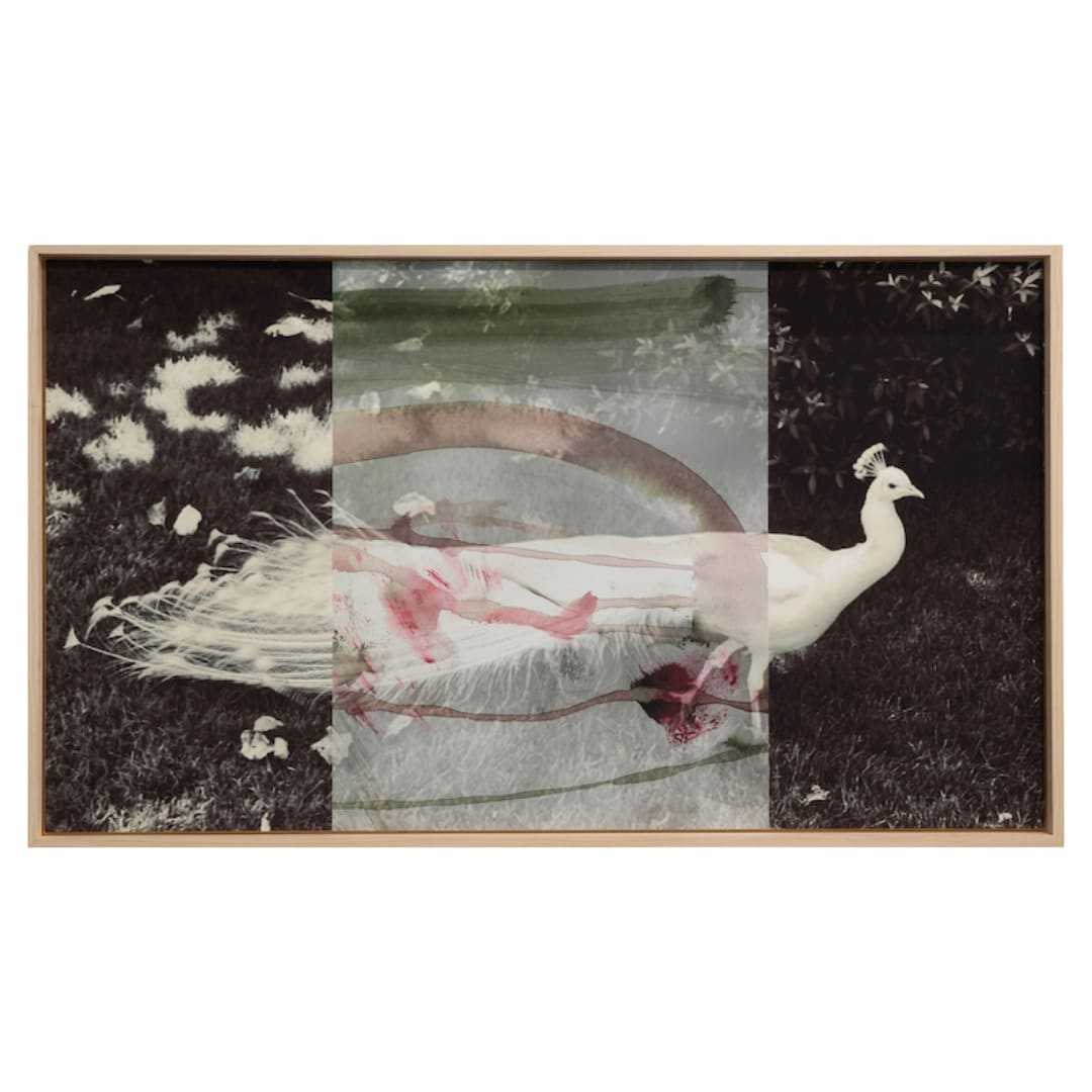 Whitehot Magazine: Transmutation: Margaret Innerhofer Uncovers a Pandora’s Box, Revealing Her Family’s Cultural Heritage