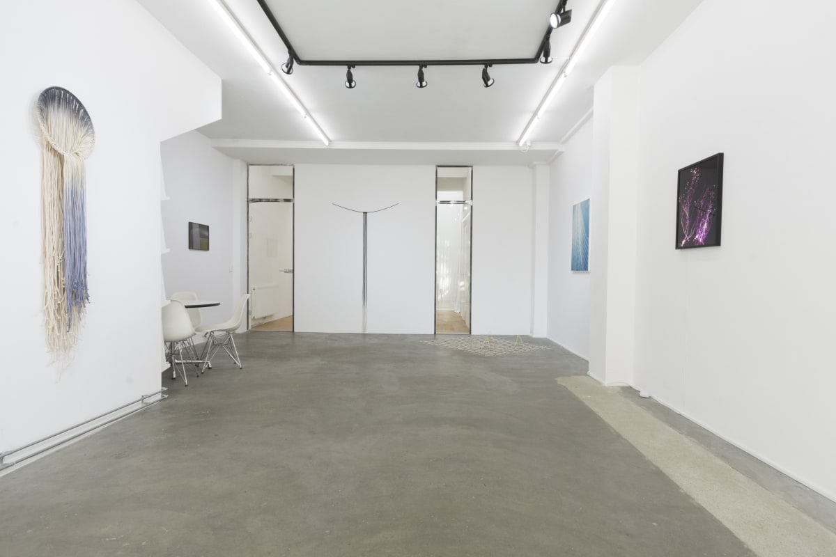 Hop and Svenson & Lee Williams