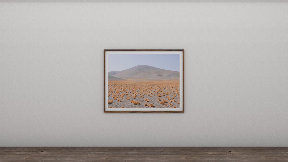 Virtual Mountain Pavilion