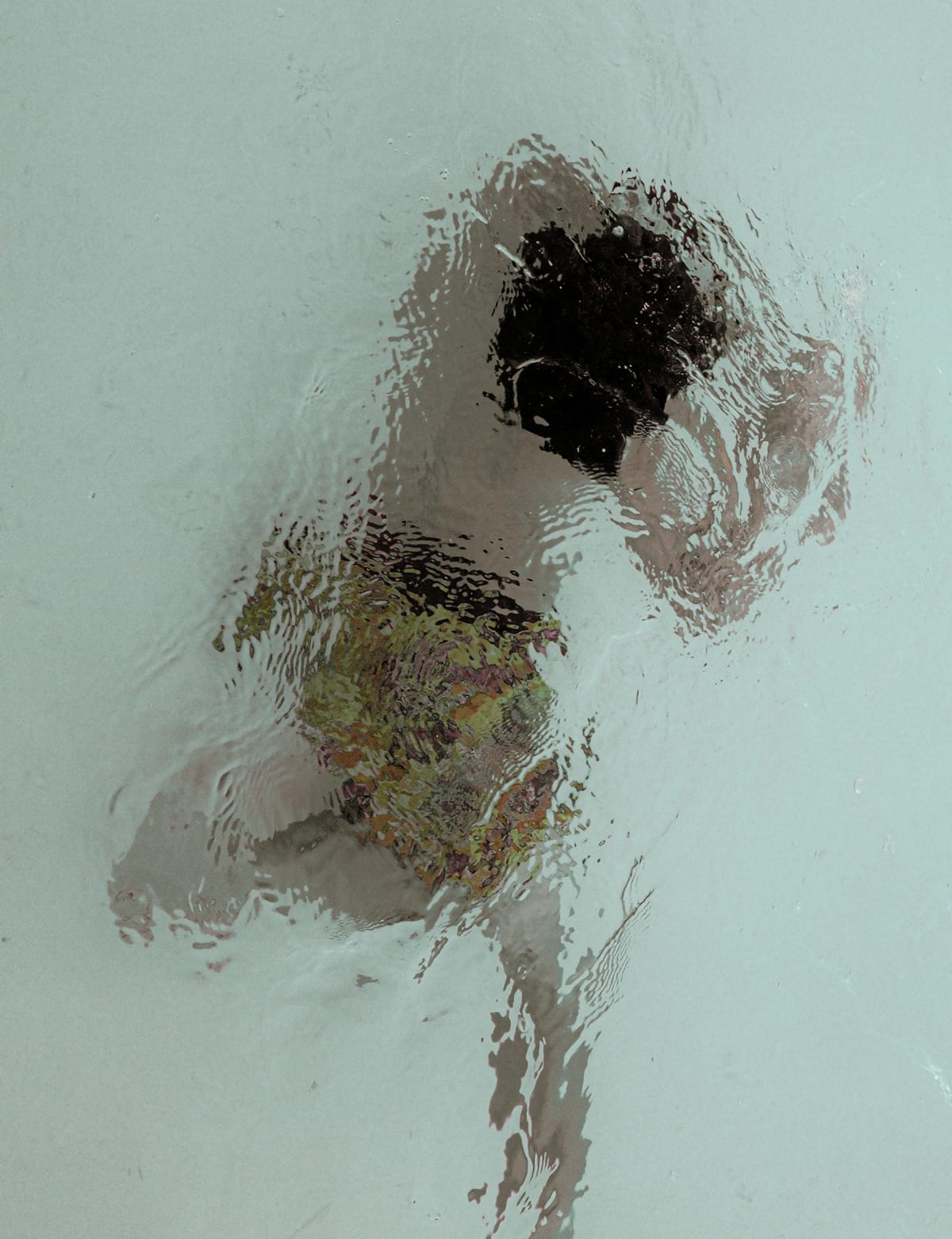 Aiming for Poetry in the Digital Photography