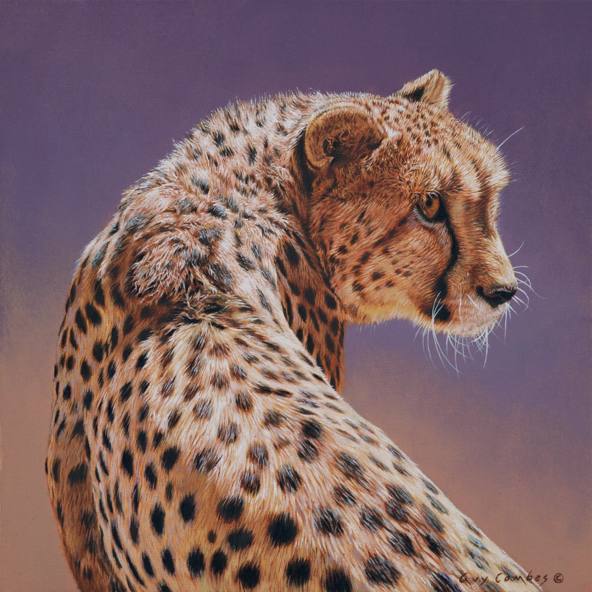 Painting Wildlife of East Africa and the Sonoran Region