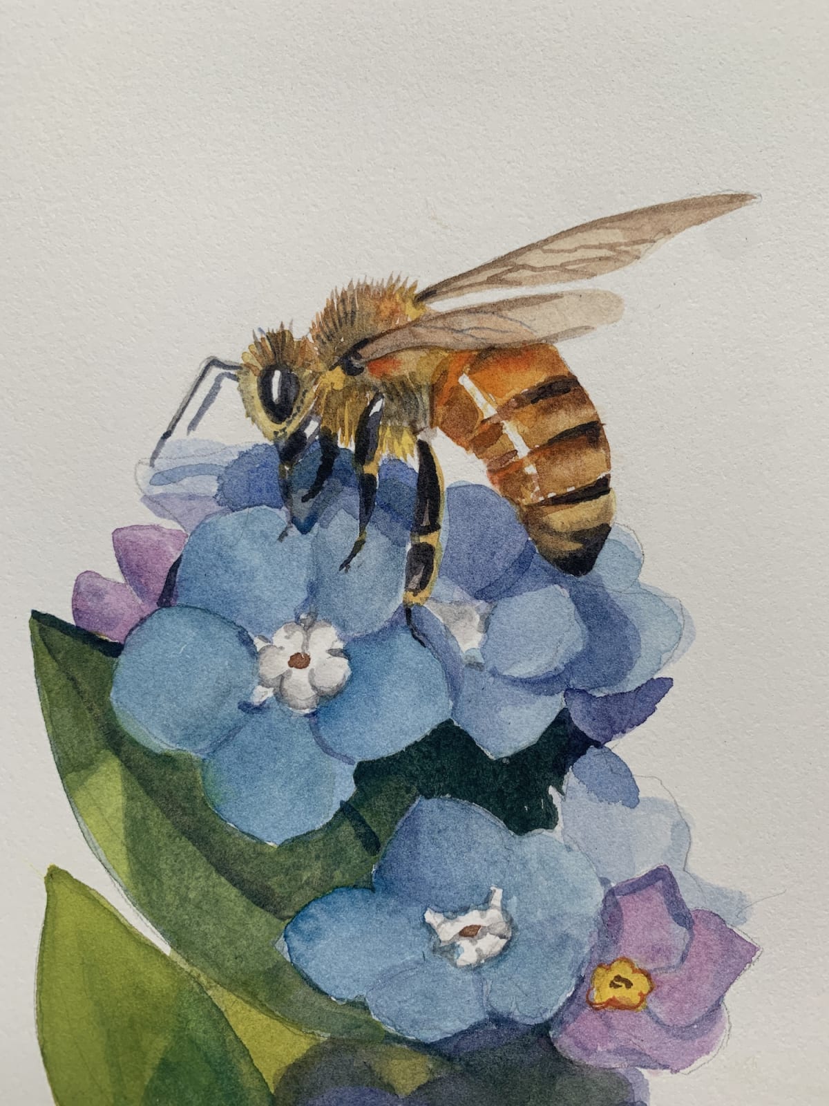 Painting Pollinators