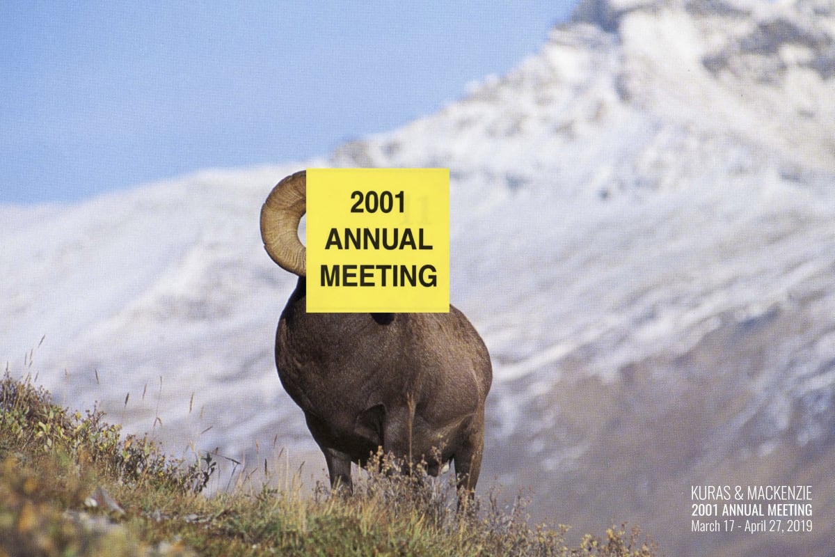 Kuras & MacKenzie: 2001 Annual Meeting