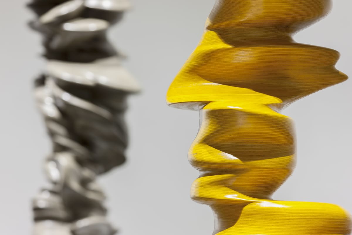 TONY CRAGG SIGNS OF LIFE richterトニー・クラッグ アート/エンタメ