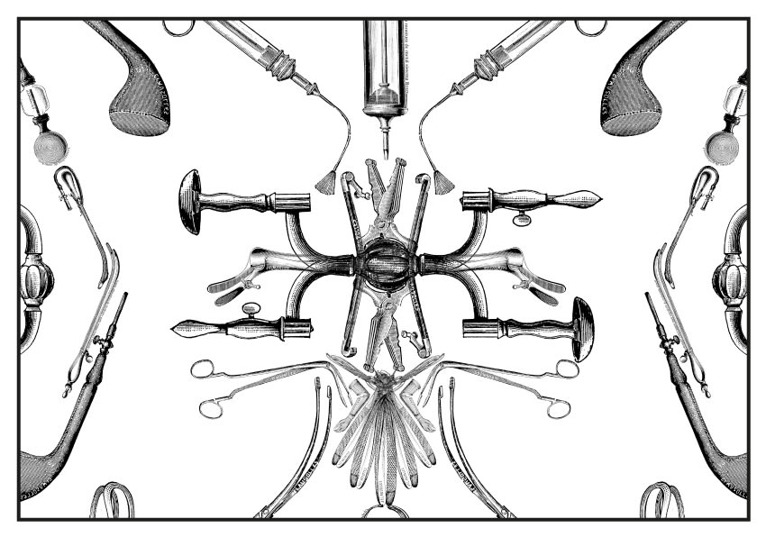 Public Hygiene: society as a sick body Daniel Gasol