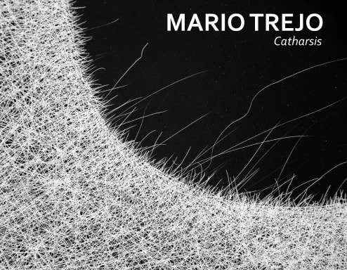 Mario Trejo: Catharsis