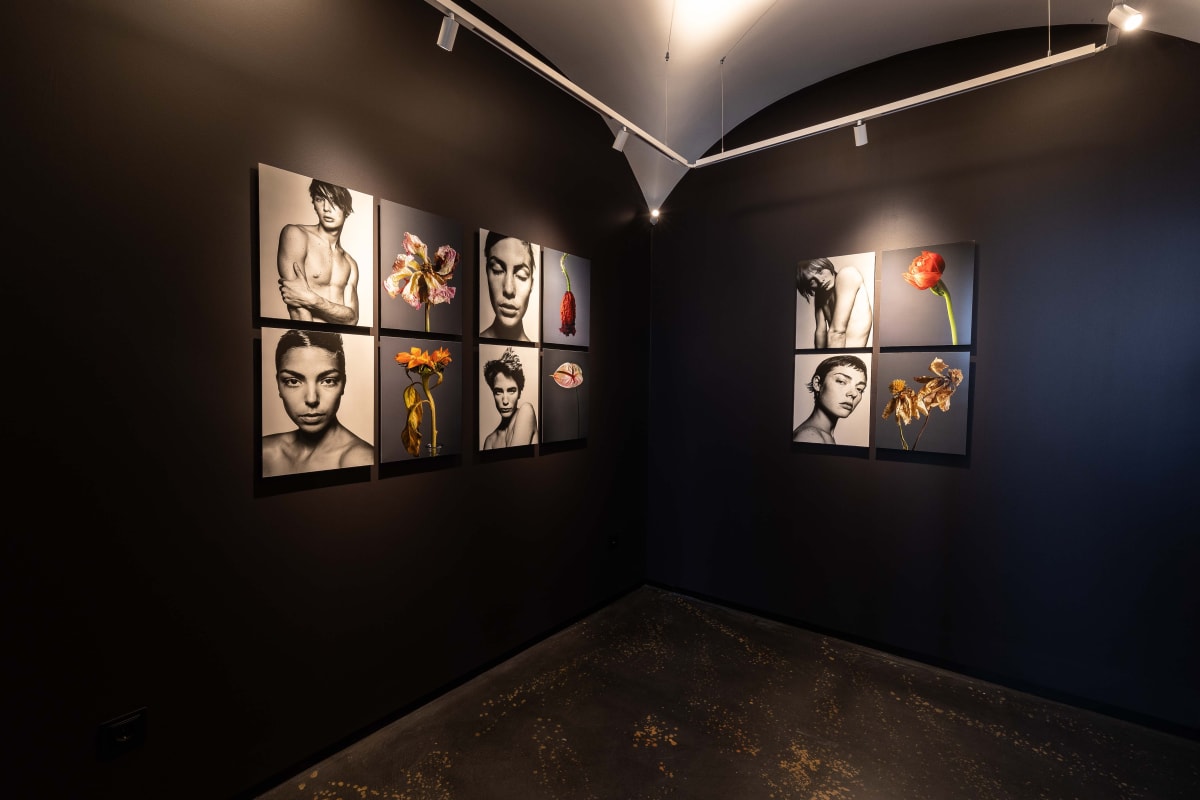 Pure | 24 Jun - 30 Aug 2023 | In The Pink - Fine Photo Art