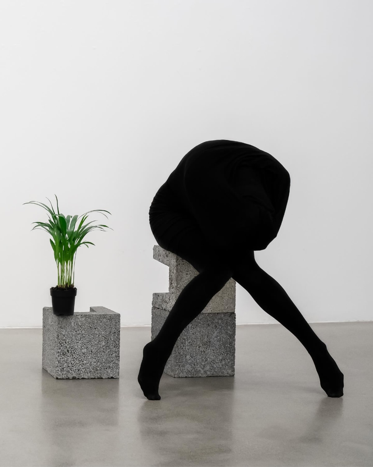 Januario Jano at Bienal Sur 2025