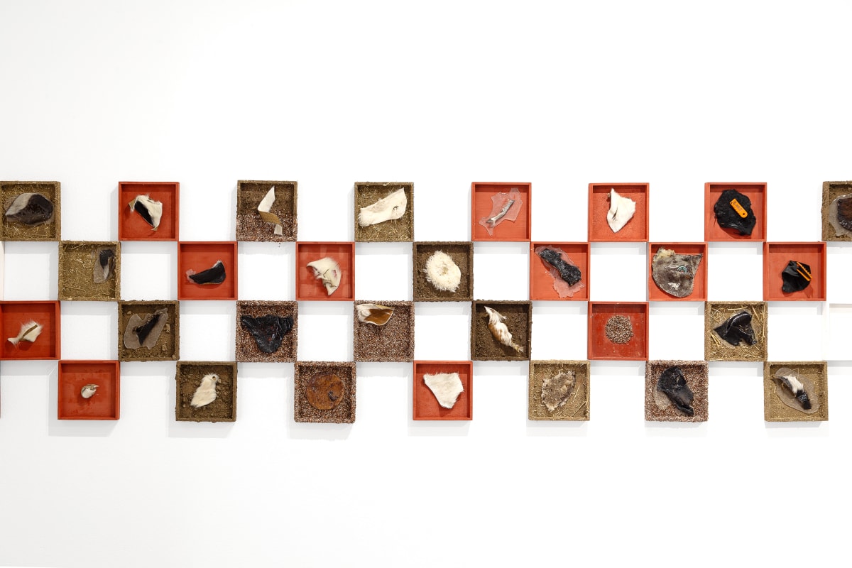 THE NEW VANGUARD, 2025 | FLESH & FACADE Curated by Shui Hoppenstein