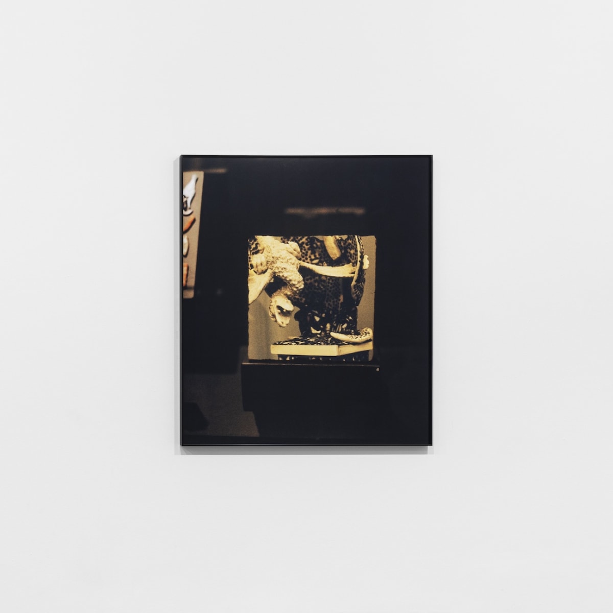 'Serpente Infinita’ – BF24_Bienal de Fotografia de Vila Franca de Xira