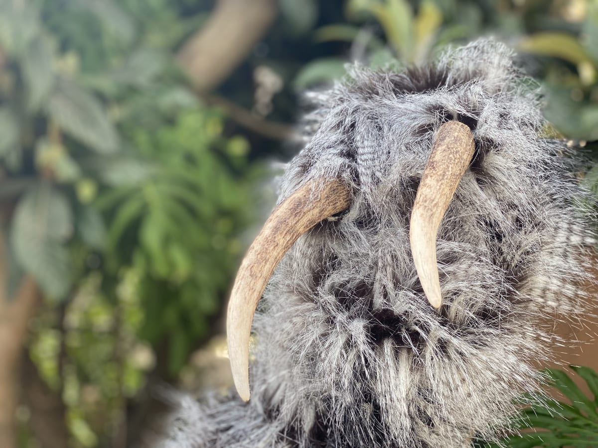 Galeria Francisco Fino - Bestas