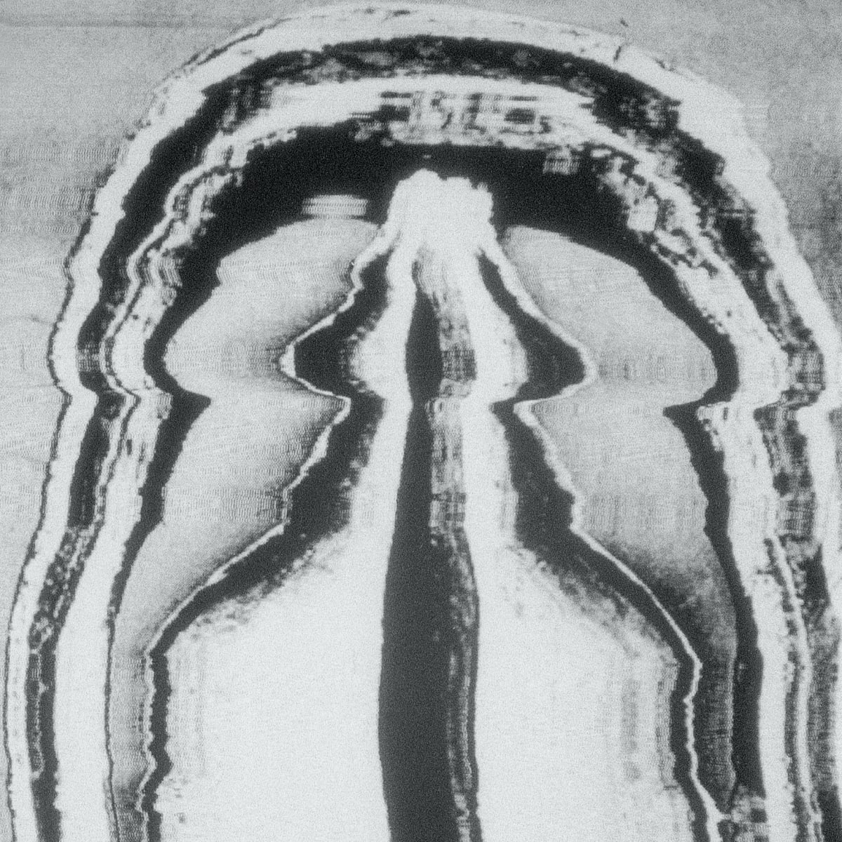 Igor Jesus - Animistic Glass, 2024, Galeria Fundação Amélia de Mello | Galeria Francisco Fino