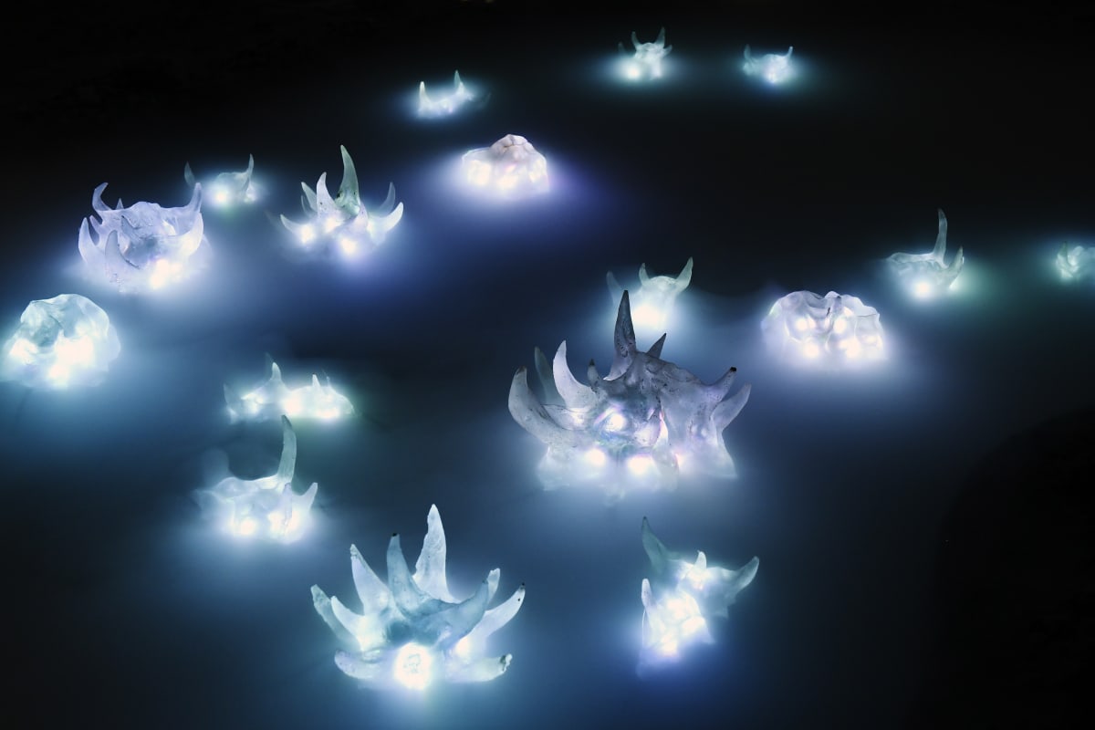 Là où rien ne devait pousser Elsa Wagnières – Prix HEAD x Galerie