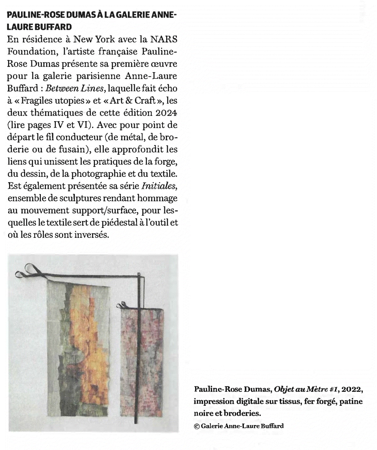 The Art Newspaper Special Edition - Art Paris, PAULINE-ROSE DUMAS À LA GALERIE ANNE-LAURE BUFFARD