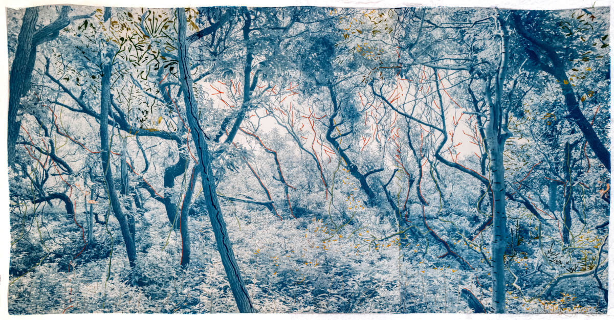 Dora Somosi Alchemy of Memory