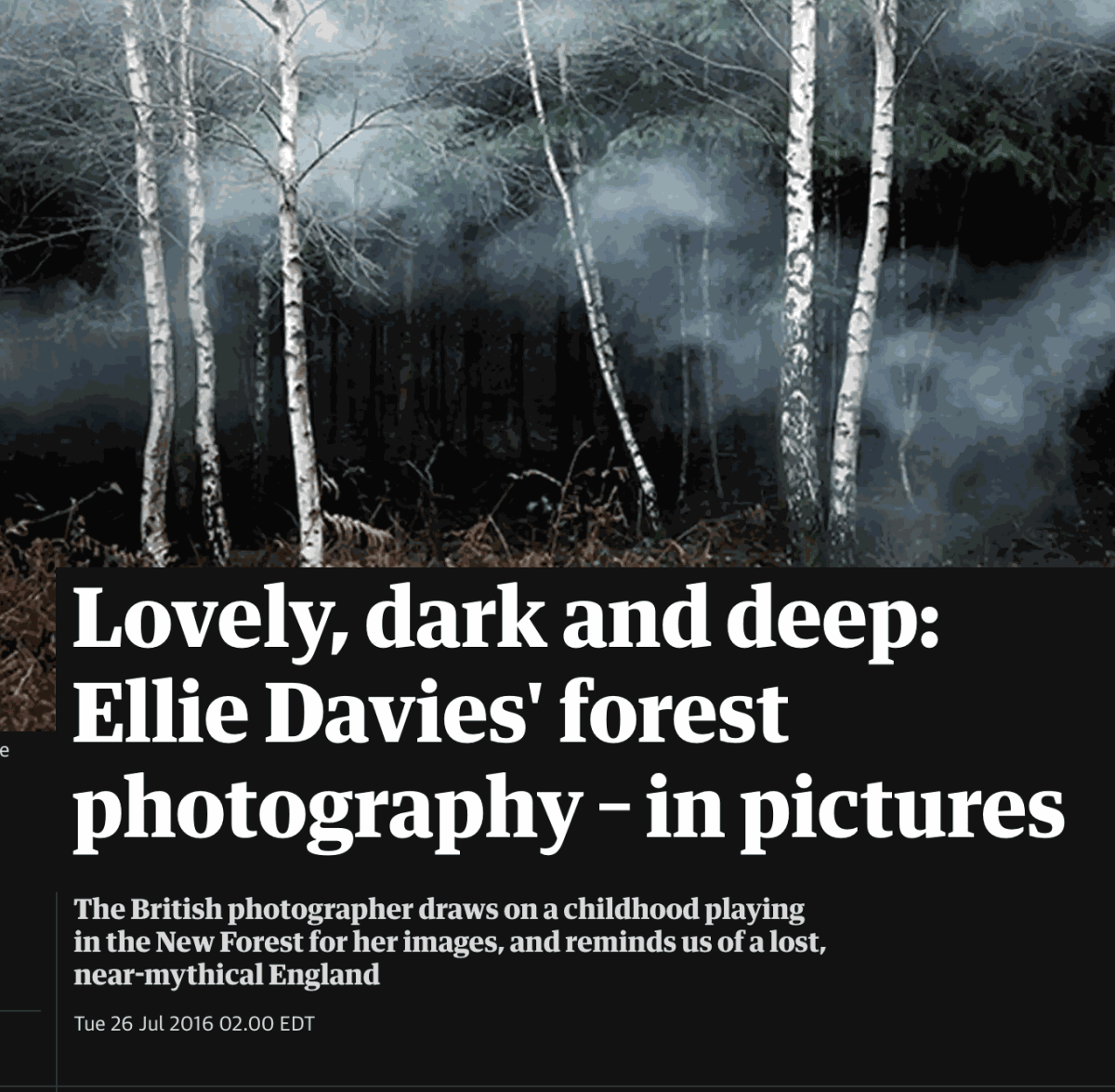 Dark Forest - 5 Items – Ellie