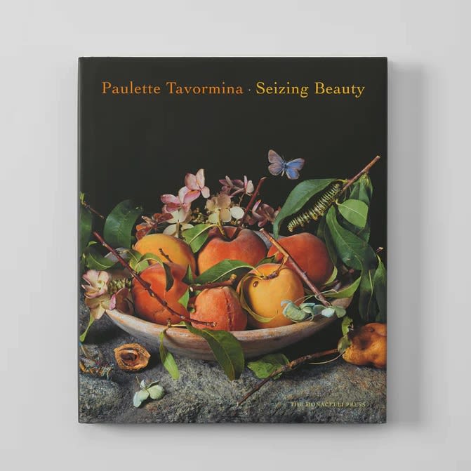 Seizing Beauty book cover by Paulette Tavormina