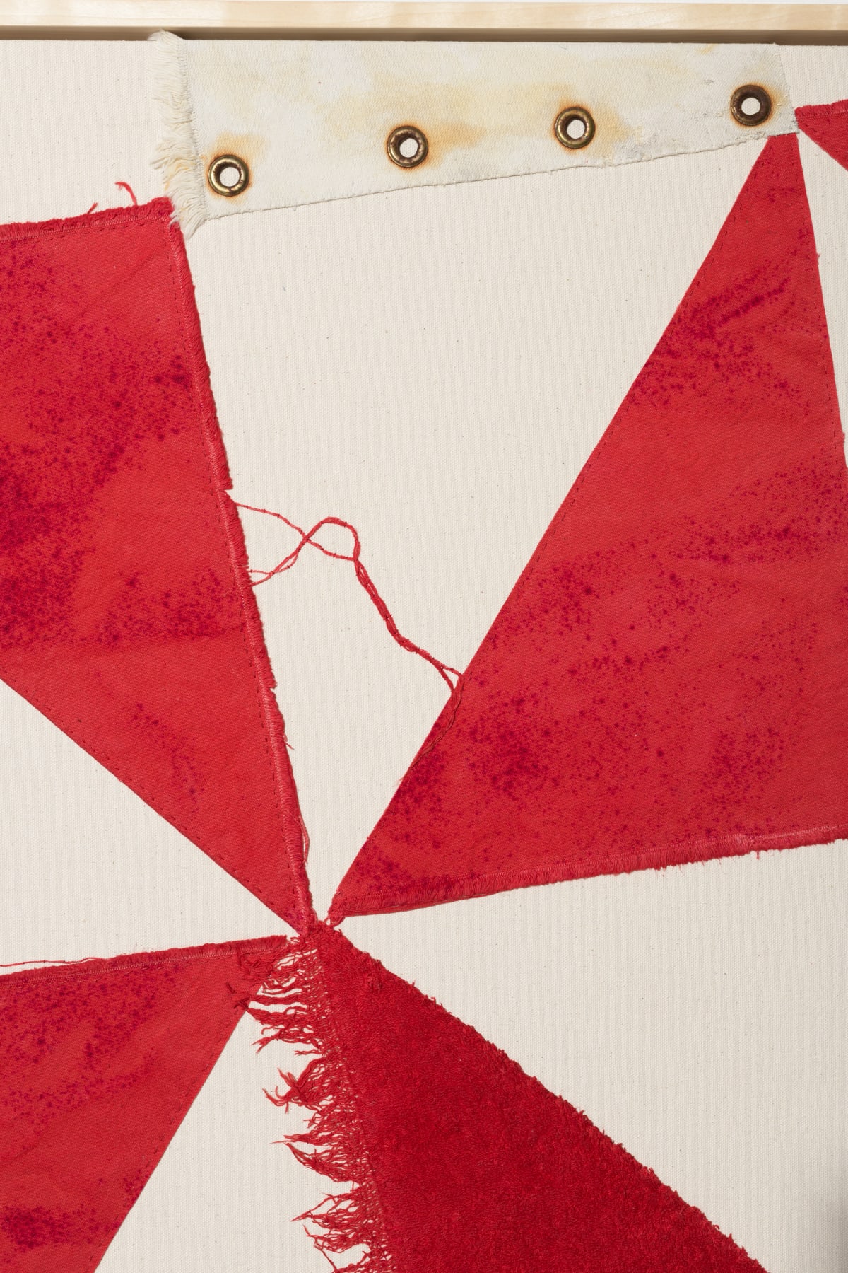 Diana Guerrero-Maciá