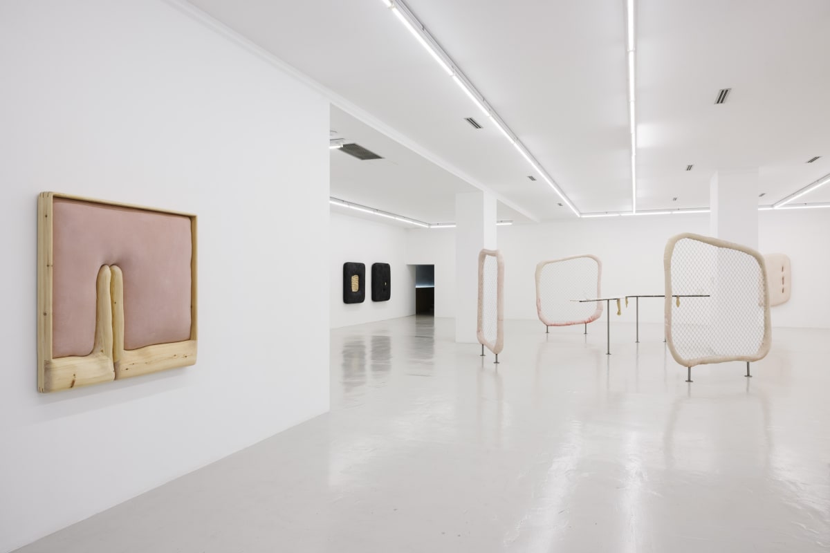 Outer Skin. Inner Gaze | curated by Giovanna Manzotti