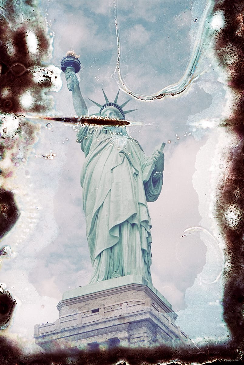 Recent Arrivals: Expanding the Collection