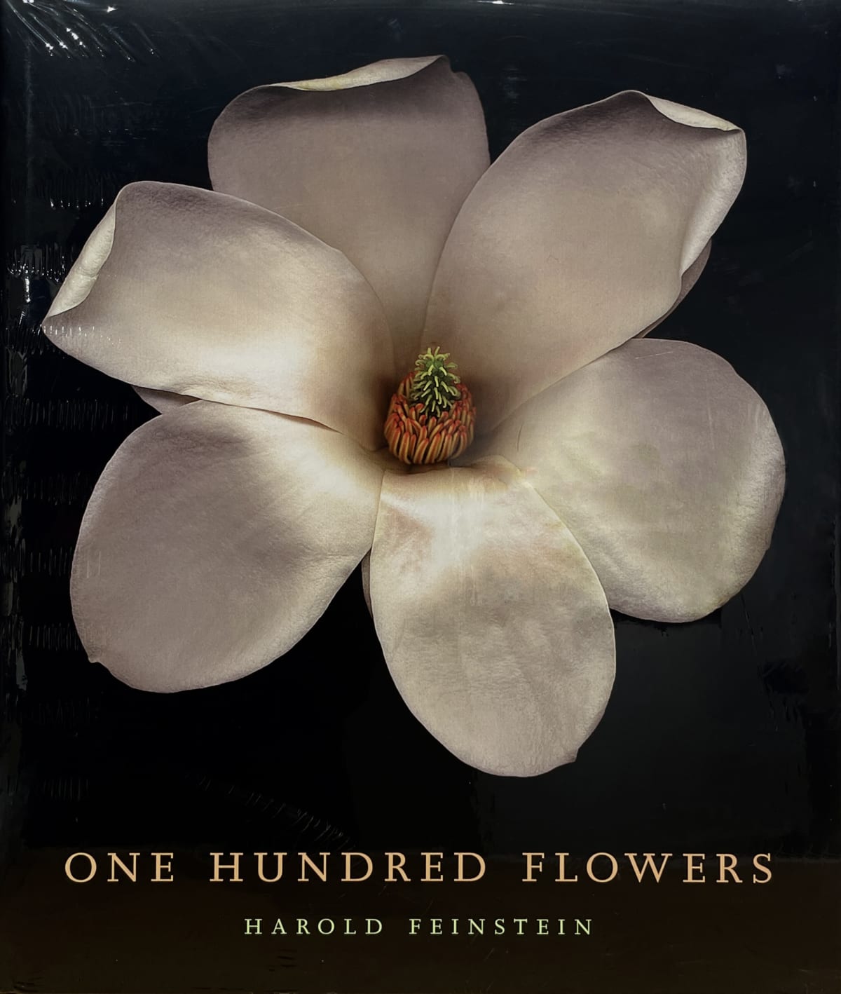 Amazon.co.jp: 大判『One Hundred Butterflies』 洋書 Harold