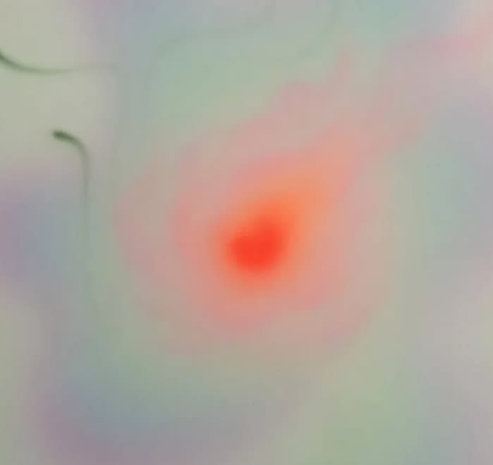 Orbital Kristin Hjellegjerde, Berlin