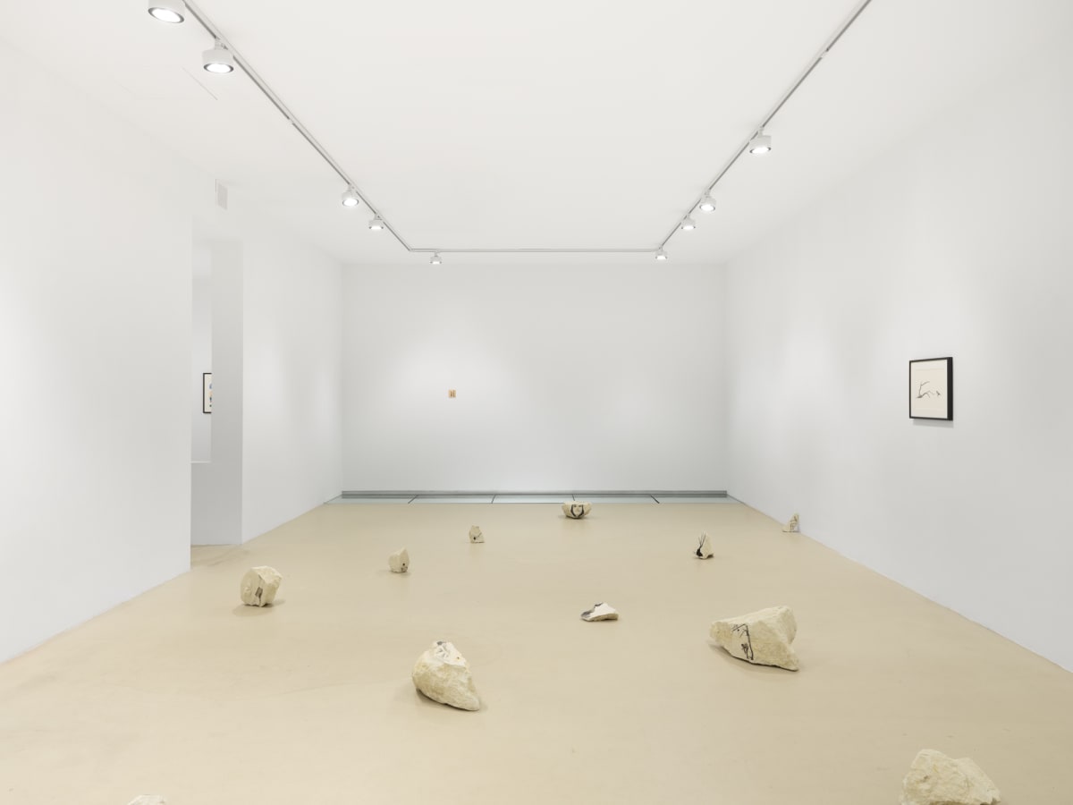 Fabien Mérelle Arbre sentinelle