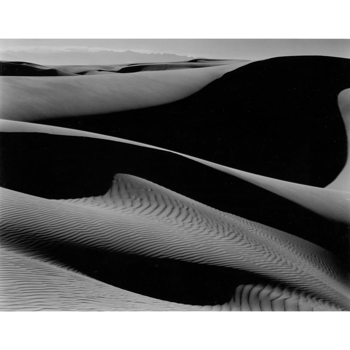 Edward Weston | Bruce Silverstein