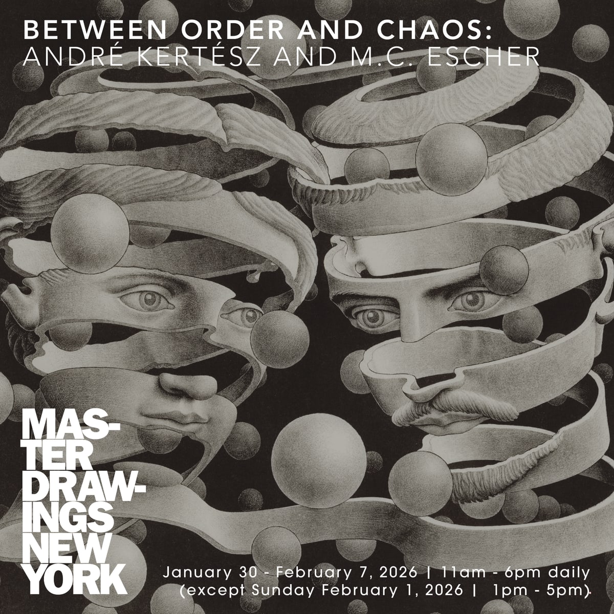 Master Drawings Week 2026